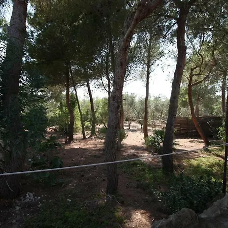 Cotriero Pineta Red House Gallipoli